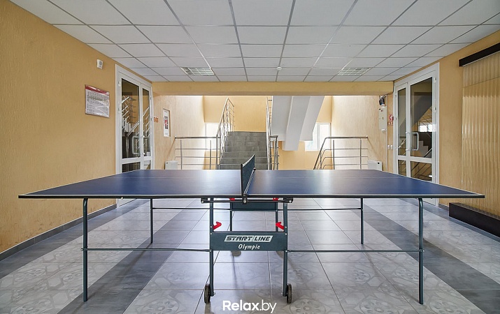 Бильярд и настольный теннис